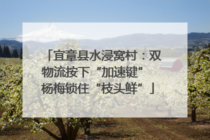 宜章县水浸窝村：双物流按下“加速键” 杨梅锁住“枝头鲜”