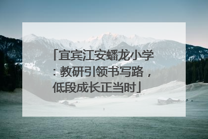 宜宾江安蟠龙小学：教研引领书写路，低段成长正当时