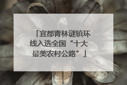 宜都青林谜镇环线入选全国“十大最美农村公路”