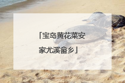 宝岛黄花菜安家尤溪畲乡