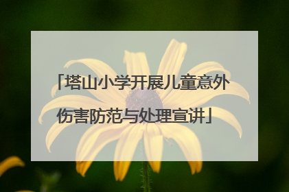塔山小学开展儿童意外伤害防范与处理宣讲