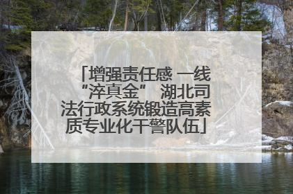 增强责任感 一线“淬真金” 湖北司法行政系统锻造高素质专业化干警队伍