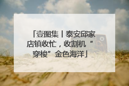壹图集丨泰安邱家店镇收忙，收割机“穿梭”金色海洋