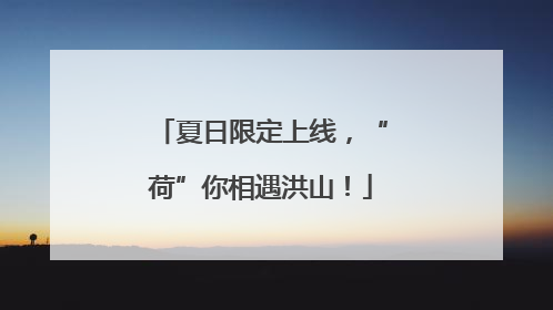 夏日限定上线，“荷”你相遇洪山！