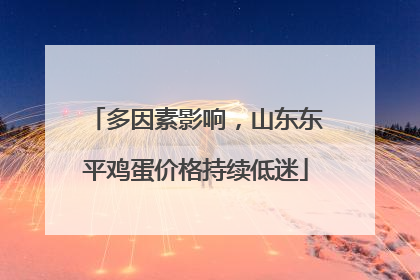 多因素影响，山东东平鸡蛋价格持续低迷