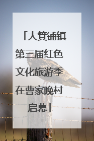大箕铺镇第三届红色文化旅游季在曹家晚村启幕