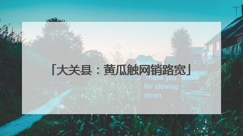 大关县：黄瓜触网销路宽