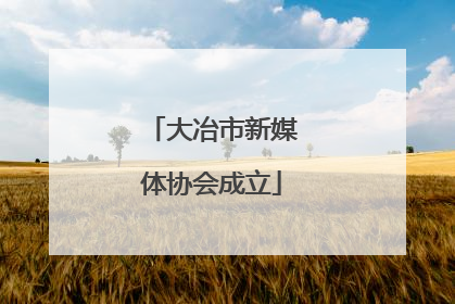大冶市新媒体协会成立