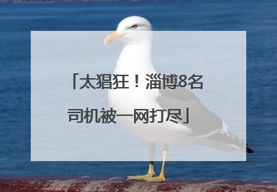 太猖狂！淄博8名司机被一网打尽