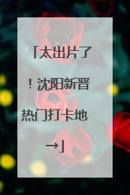 太出片了！沈阳新晋热门打卡地→
