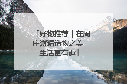 好物推荐｜在周庄邂逅造物之美 生活更有趣