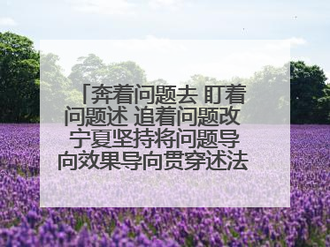 奔着问题去 盯着问题述 追着问题改 宁夏坚持将问题导向效果导向贯穿述法工作始终