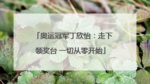 奥运冠军丁欣怡：走下领奖台 一切从零开始