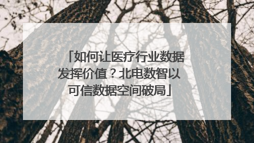 如何让医疗行业数据发挥价值？北电数智以可信数据空间破局