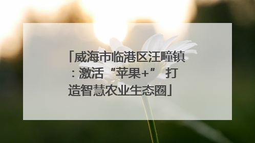 威海市临港区汪疃镇：激活“苹果+” 打造智慧农业生态圈