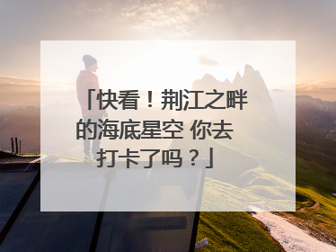 快看！荆江之畔的海底星空 你去打卡了吗？
