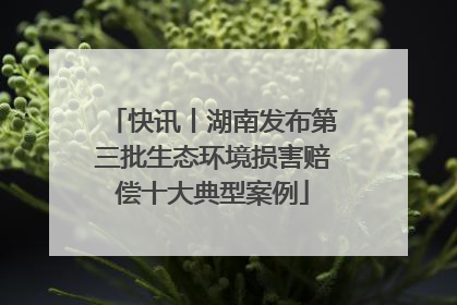 快讯丨湖南发布第三批生态环境损害赔偿十大典型案例