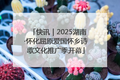 快讯｜2025湖南·怀化屈原爱国怀乡诗歌文化推广季开幕