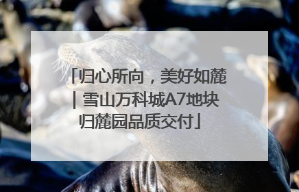 归心所向，美好如麓｜雪山万科城A7地块归麓园品质交付
