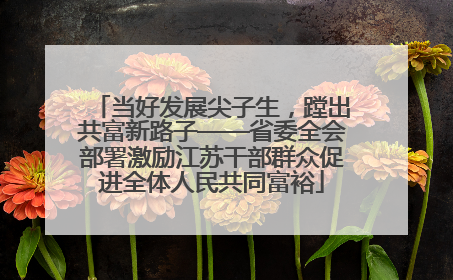 当好发展尖子生，蹚出共富新路子——省委全会部署激励江苏干部群众促进全体人民共同富裕