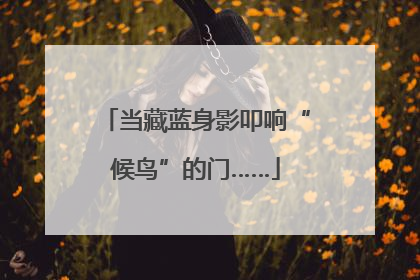 当藏蓝身影叩响“候鸟”的门……