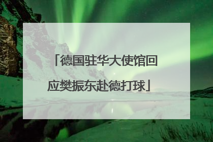德国驻华大使馆回应樊振东赴德打球
