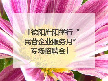 德阳旌阳举行“民营企业服务月”专场招聘会