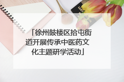 徐州鼓楼区拾屯街道开展传承中医药文化主题研学活动