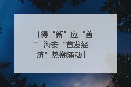得“新”应“首” 海安“首发经济”热潮涌动