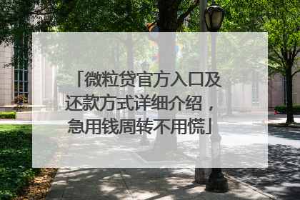 微粒贷官方入口及还款方式详细介绍，急用钱周转不用慌