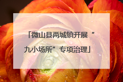微山县两城镇开展“九小场所”专项治理