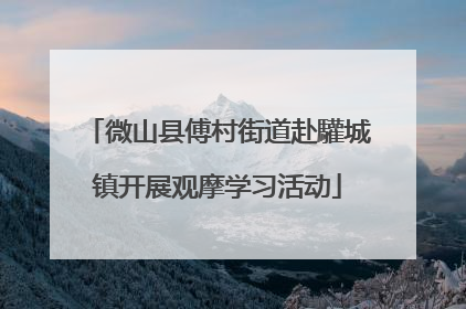 微山县傅村街道赴驩城镇开展观摩学习活动