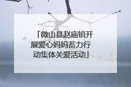 微山县赵庙镇开展爱心妈妈蓄力行动集体关爱活动