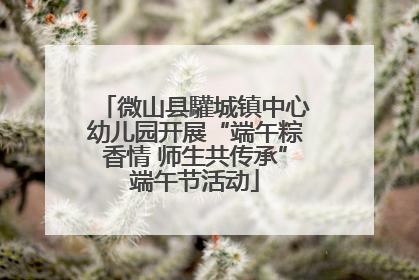 微山县驩城镇中心幼儿园开展“端午粽香情 师生共传承”端午节活动