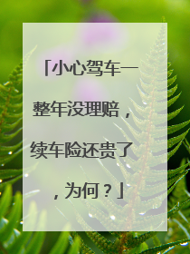 小心驾车一整年没理赔，续车险还贵了，为何？