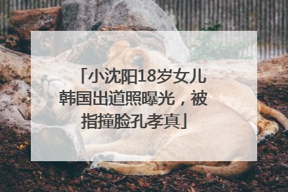小沈阳18岁女儿韩国出道照曝光，被指撞脸孔孝真