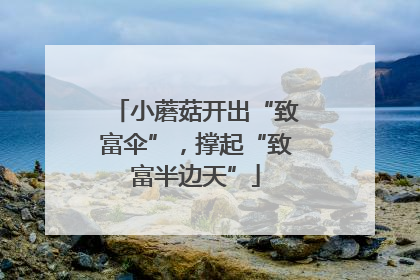 小蘑菇开出“致富伞”，撑起“致富半边天”