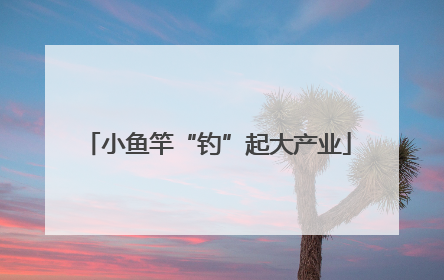 小鱼竿“钓”起大产业