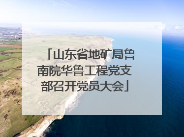 山东省地矿局鲁南院华鲁工程党支部召开党员大会