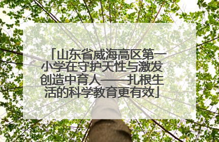 山东省威海高区第一小学在守护天性与激发创造中育人——扎根生活的科学教育更有效