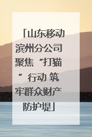 山东移动滨州分公司聚焦“打猫”行动 筑牢群众财产防护堤
