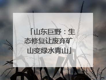 山东巨野：生态修复让废弃矿山变绿水青山
