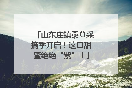 山东庄镇桑葚采摘季开启！这口甜蜜绝绝“紫”！