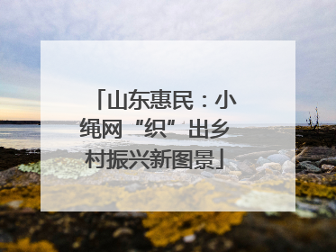 山东惠民：小绳网“织”出乡村振兴新图景