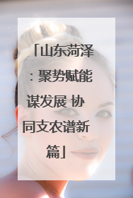 山东菏泽：聚势赋能谋发展 协同支农谱新篇