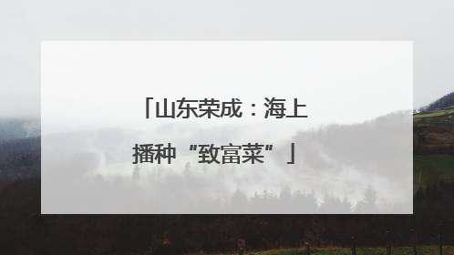 山东荣成：海上播种“致富菜”