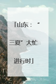 山东：“三夏”大忙进行时
