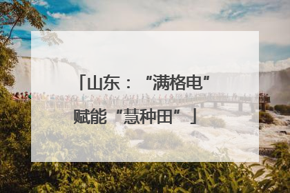 山东：“满格电”赋能“慧种田”