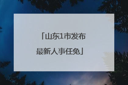 山东1市发布最新人事任免