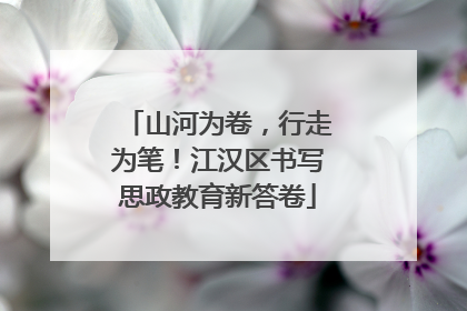 山河为卷，行走为笔！江汉区书写思政教育新答卷